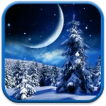 Logo of Winter Night Live Wallpaper android Application 